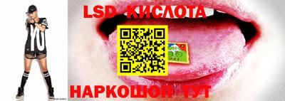 МДМА Новозыбков