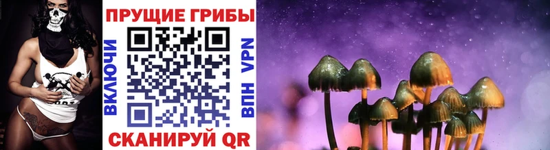 KRAKEN ссылка  маркетплейс официальный сайт  Псилоцибиновые грибы Magic Shrooms  Сорочинск 